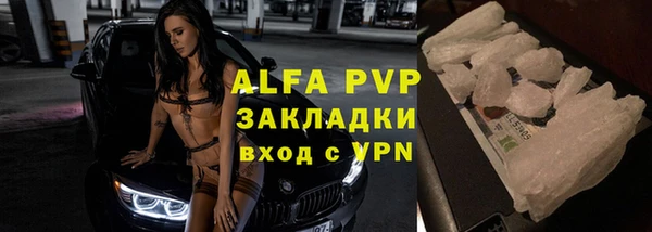 стафф Карпинск