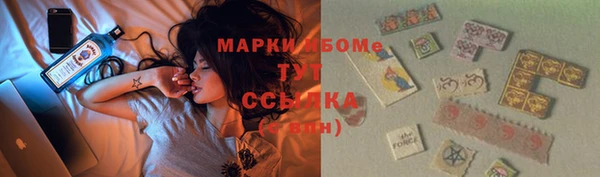 стафф Карпинск