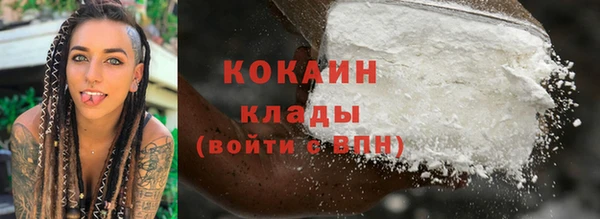стафф Карпинск