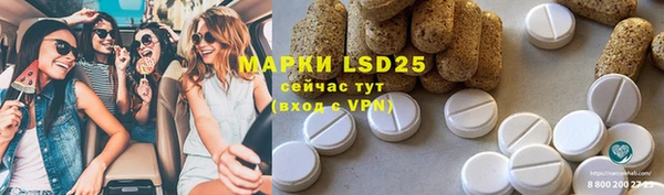 стафф Карпинск