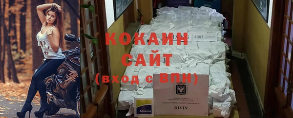 стафф Карпинск