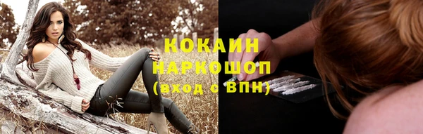 СК Касимов