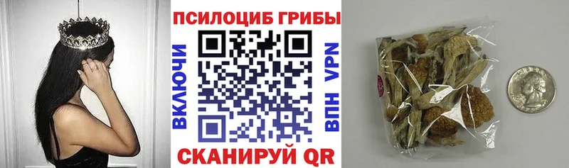 Купить  Бахчисарай  Галлюциногенные грибы Magic Shrooms 